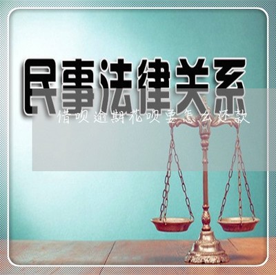 慘不忍睹 借唄逾期后，花唄該如何還款？一文講清方法與順序